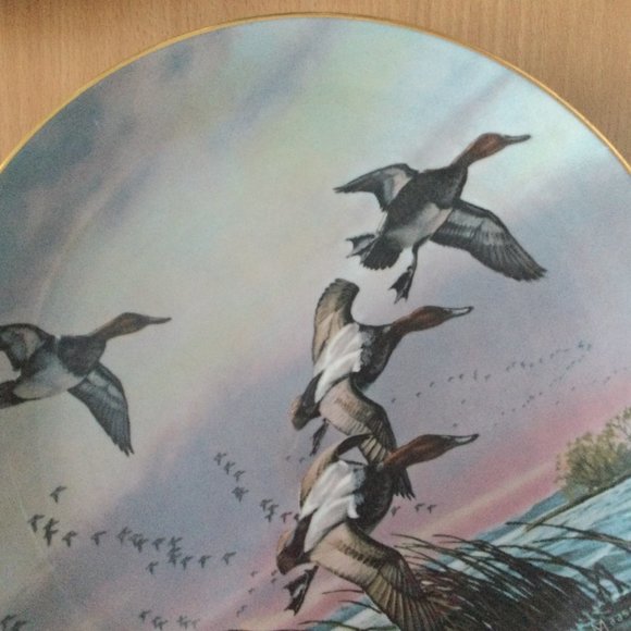 1981 "canvasbacks" David Maass limited edition collector plate 10 3/4" wild life - Picture 2 of 5